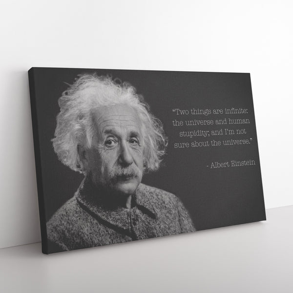Albert Einstein / Human Stupidity
