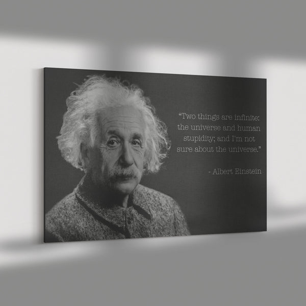 Albert Einstein / Human Stupidity