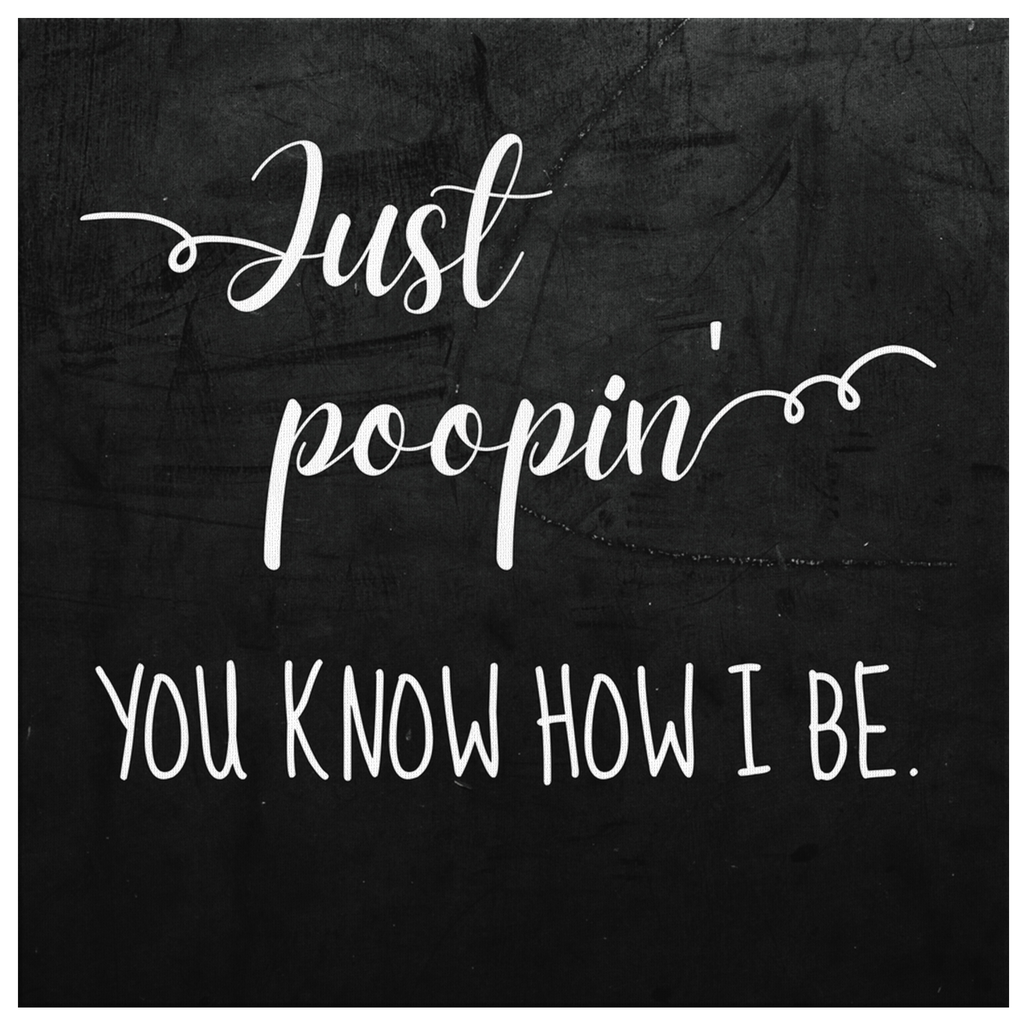 Just Poopin, You Know How I Be