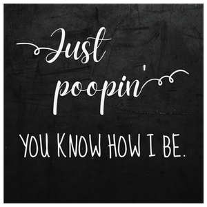 Just Poopin, You Know How I Be