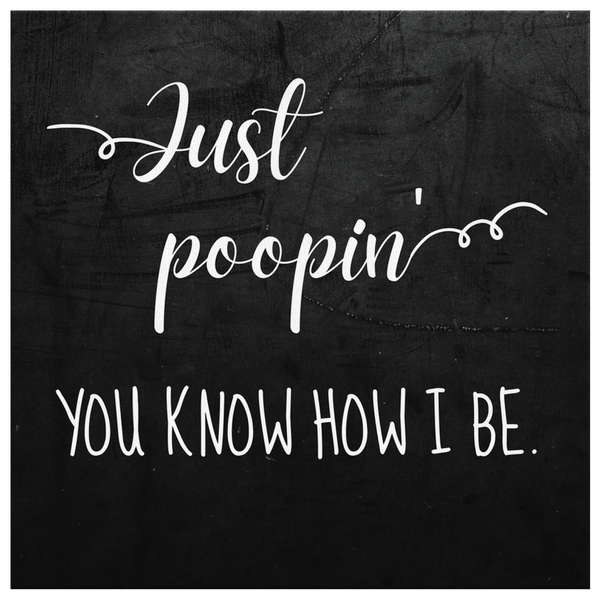 Just Poopin, You Know How I Be