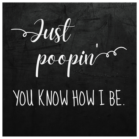 Just Poopin, You Know How I Be